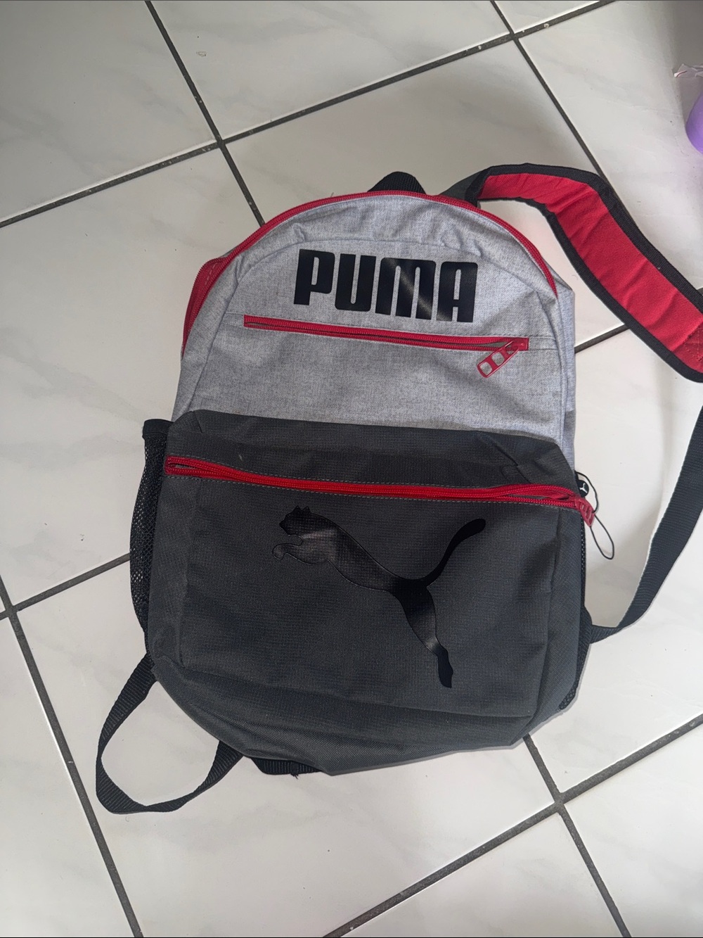 Puma Gray, Black & Red Men's Backpack